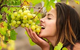 Виноград — полезные свойства и противопоказания