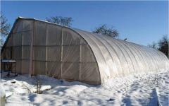 Как построить теплицу для зимнего выращивания овощей своими руками: устройство, технология, отопление и отзывы Как строить теплицу на зимний вариант